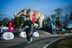 BIB: 
                            <button type="button" onclick="openModal(26541708)" class="btn btn-primary btn-sm float-right btn-popup" data-toggle="modal" data-target=".modal-high-quality">
                        <i class="fas fa-shopping-cart"></i> Add to Cart
                    </button>
                                            <button type="button" onclick="isThisMe(26541708, true)" class="btn btn-success btn-sm float-right btn-popup btn-isme hidden" data-toggle="tooltip" data-placement="bottom" title="นี่คือรูปของคุณใช่ไหม คลิกที่นี่เพื่อเอาเข้าอัลบั้ม">
                        <i class="fas fa-plus"></i> Add to album
                    </button>
                    <button type="button" onclick="isThisMe(26541708, false)" class="btn btn-warning btn-sm float-right btn-popup btn-isnotme hidden">
                        <i class="fas fa-ban"></i> Remove from album
                    </button>